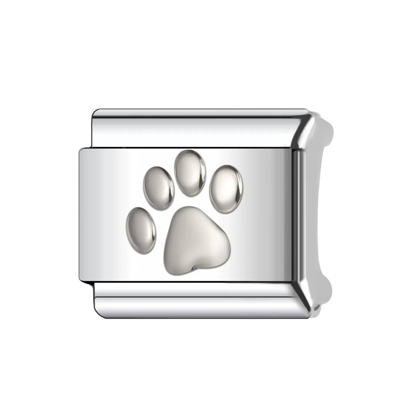 THE BASICS-PAW PRINT