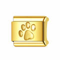 THE BASICS-PAW PRINT