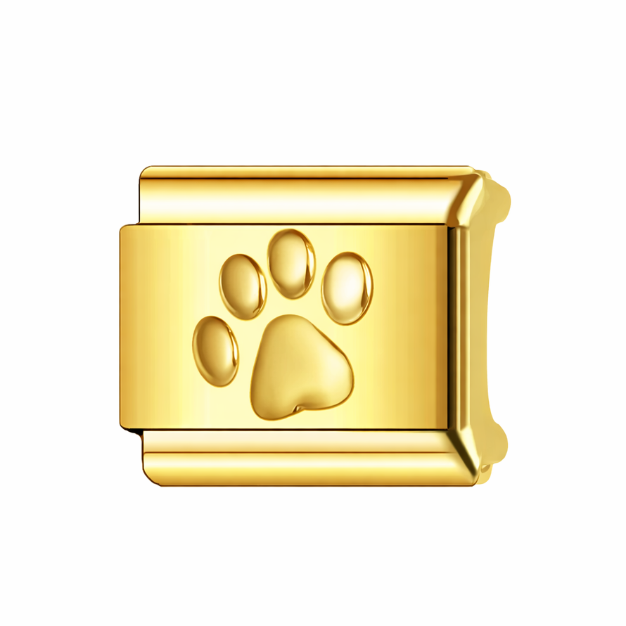THE BASICS-PAW PRINT