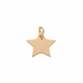 STARRY MINI