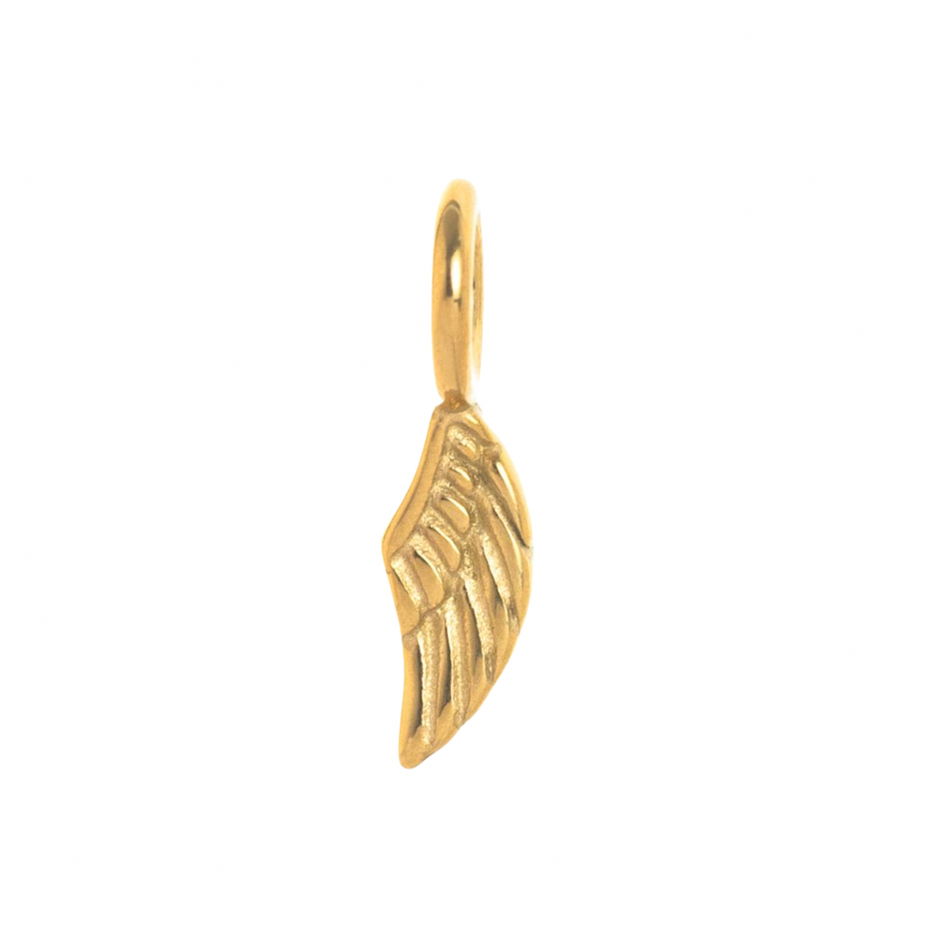 ANGEL CHARM
