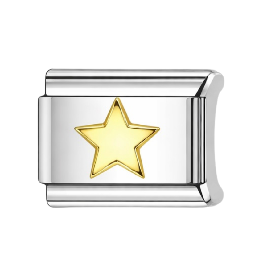 THE BASICS-STAR